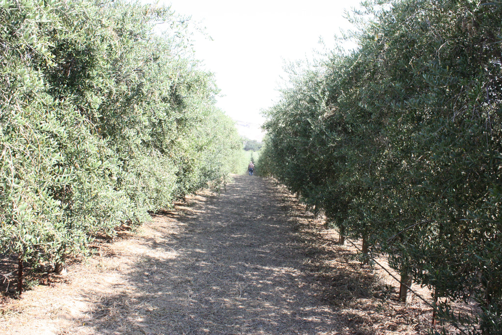 2022-2023 Farm & Crop Updates